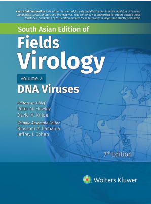FIELDS VIROLOGY DNA VIRUSES VOLUME 2 7ED (SAE) (HB 2024)